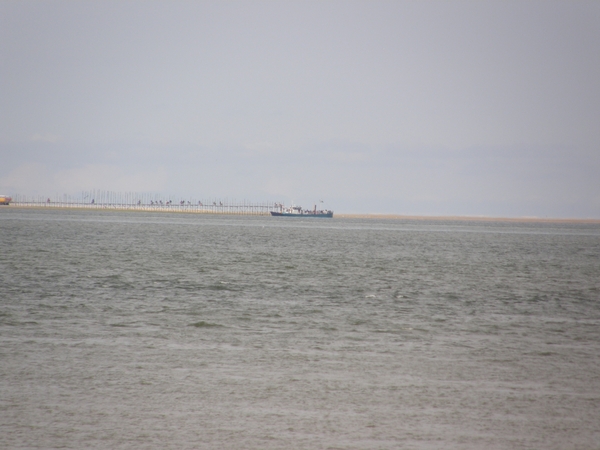 2-8-2010Texel (24)