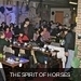 m__DSC0059
