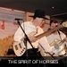 m__DSC0064