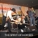 m__DSC0066