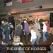 m__DSC0172