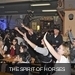 m__DSC0264
