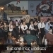 m__DSC0329