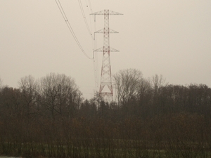 SAM_4365