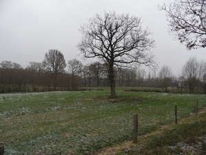 SAM_4369