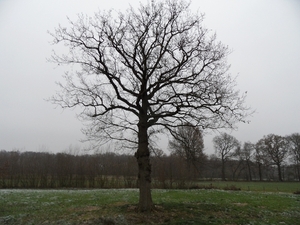 SAM_4370