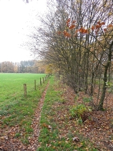 SAM_4365