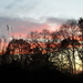 SAM_4916