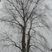 SAM_4960