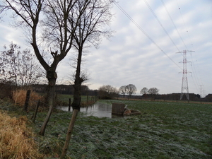 SAM_0154