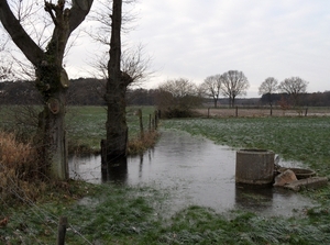 SAM_0155