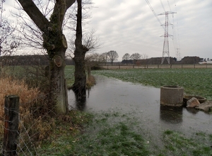 SAM_0157