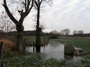 SAM_0160