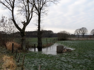 SAM_0163