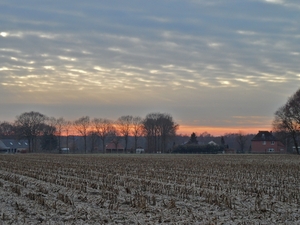 SAM_0166