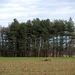 SAM_4889