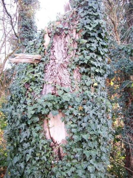 016-Wandelroute-Diest