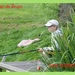 IMG_5246-border
