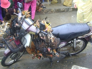 21107
