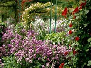 Tuinen van Monet in Giverny