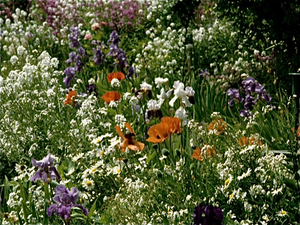 Tuinen van Monet in Giverny