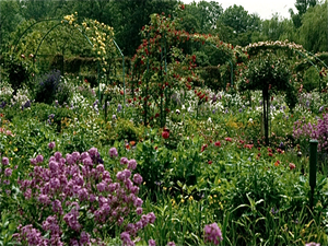 Tuinen van Monet in Giverny