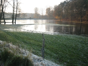 Vorselaar
