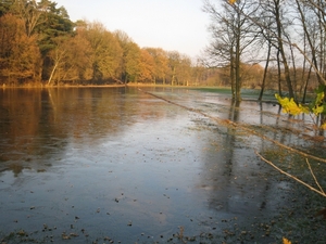 Vorselaar