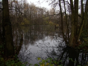 2010-11-25 KKT verk. Hazewinkel 002