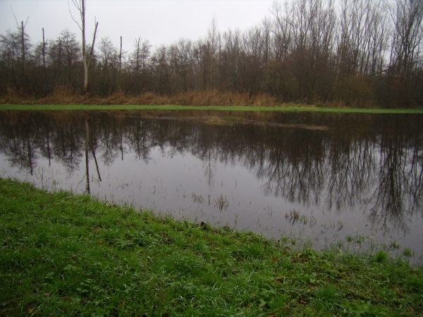 2010-11-25 KKT verk. Hazewinkel 005