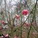 DSC00795