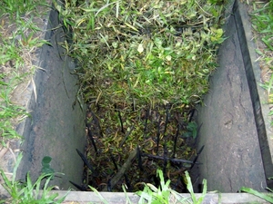 DSCI0036 cu chi tunnels (5)