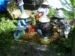 DSCI0089 fietsen mekong delta (17)