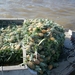 DSCI0130 mekong floating market (6)