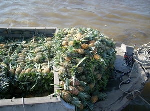 DSCI0130 mekong floating market (6)