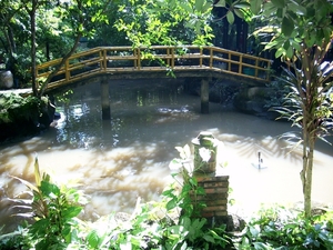 DSCI0137 mekong delta restaurant