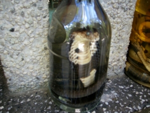 DSCI0139 mekong delta snake wine (4)