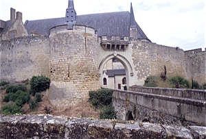 Montreuil Bellay (Loire)