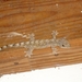 DSC00055