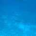 DSC01662