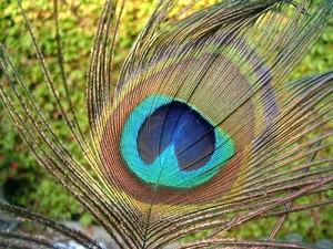 123 002
