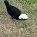 Veere 2010 035