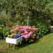 Veere 2010 038