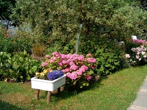 Veere 2010 038
