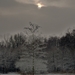 SAM_4476