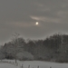SAM_4477