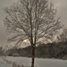 SAM_4480