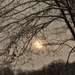 SAM_4482