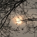 SAM_4483