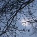 SAM_4484